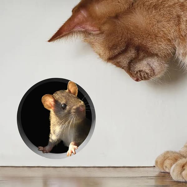 【NX】Mouse Hole Wall Decal Mus Wall Sticker Lovely Home Kitchen Decor