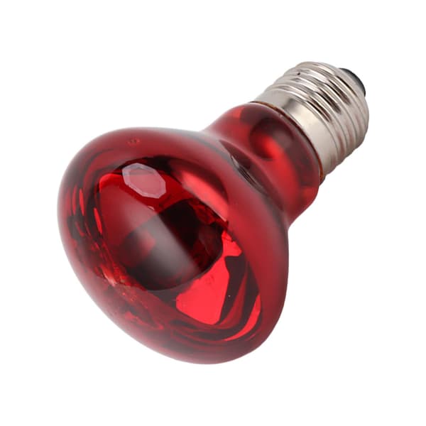 Reptil Varme Lampe Pære Multifunktionel E27 Interface Spot Lys Pære til Slange 220‑240V 25W