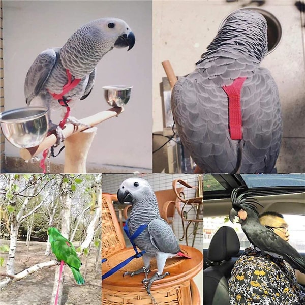 Fugl papegøye myk sele justerbar 7 farger 5 størrelser papegøye kjæledyr utendørs flyvende treningssele
