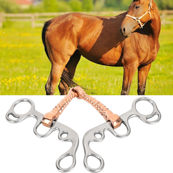 Rostfritt stål Häst Snaffle Training Snaffle Bit Tillbehör för ridutrustning