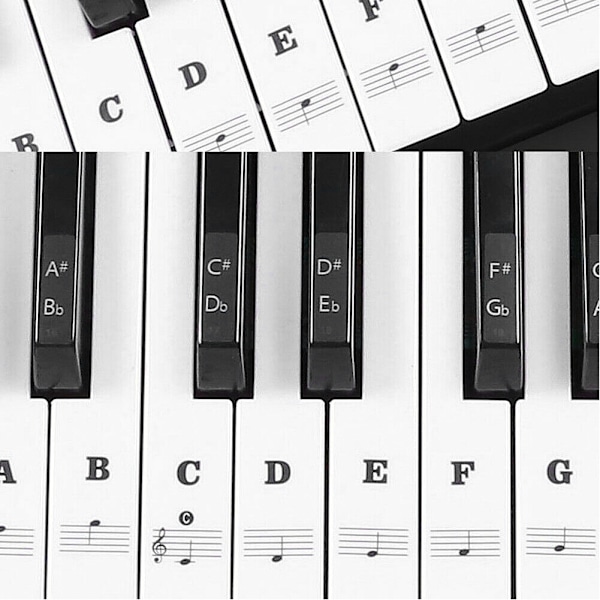 Pianoklistermärken Musikark Keyboard PVC Svart Vit siffror Noter för barn nybörjare