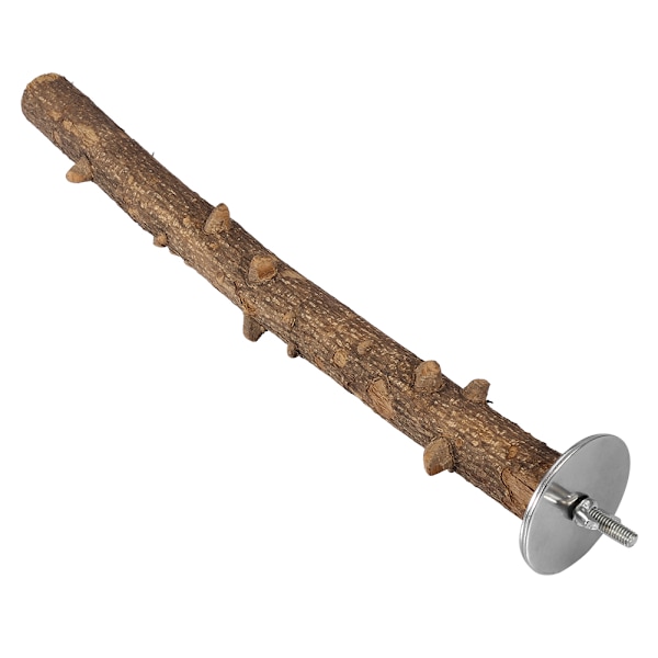 Luonnonpuinen papukaija-teline tassujen hiomiseen, istumapuu, lintujen pureskeltava riippuva häkkilelu (3*35 cm)