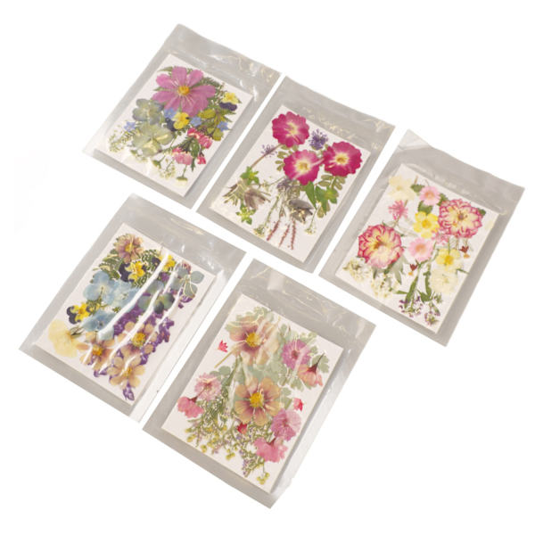 5 påsar pressade blommor Diverse stilar Levande rika detaljer Flerfunktionsfärgglada torkade blommor för DIY-form Bokmärke Typ 2