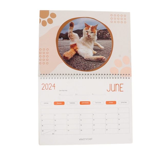 Kattbollar 2024-kalender 12 månaders roliga kattbollar-kalender Katthålskalender för kattälskare