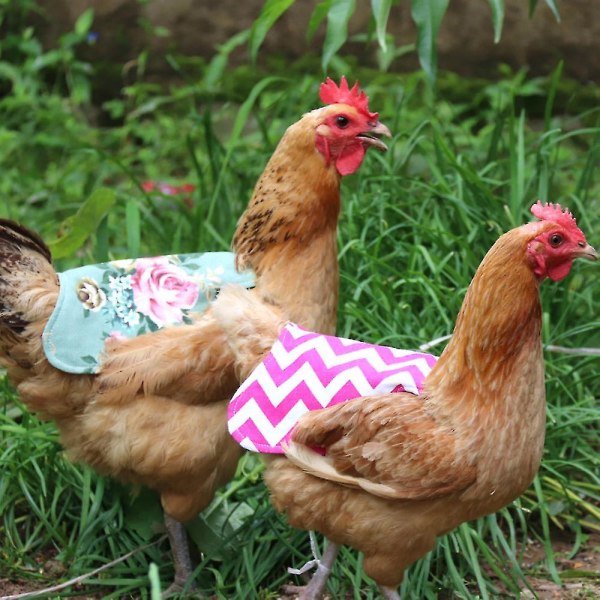 Kyllingesadler , Hønseforklæder , Beskytterforklæde til fjerkræ, Fjerkræfjerbeskytter D