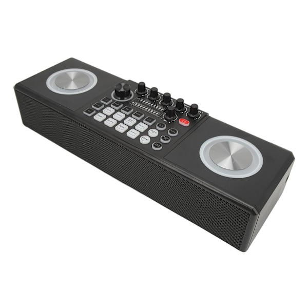 Karaokemaskin med 2 mikrofoner, bärbar Bluetooth-högtalare för utomhusbruk, ljudkort, karaoke-set för hemfest, bröllop, camping