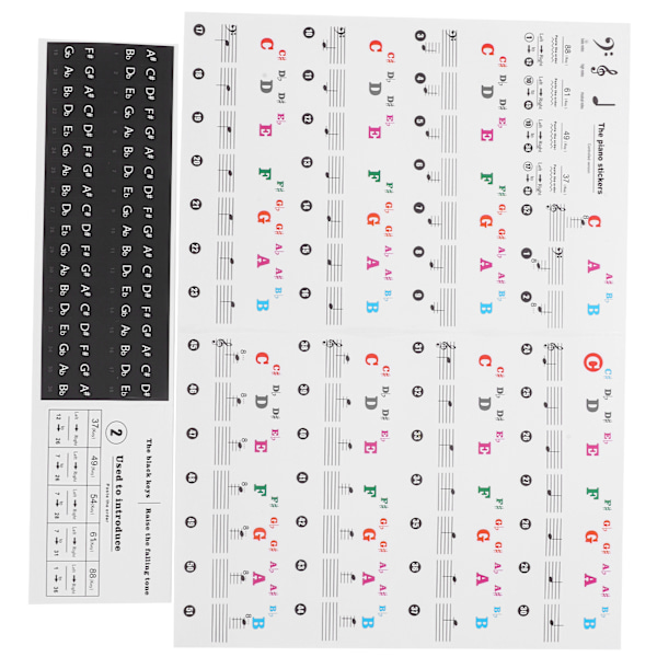 Piano Key Sticker Elektronisk orgel Universaltangenter Transparent notation PasterdekorationFärgglad