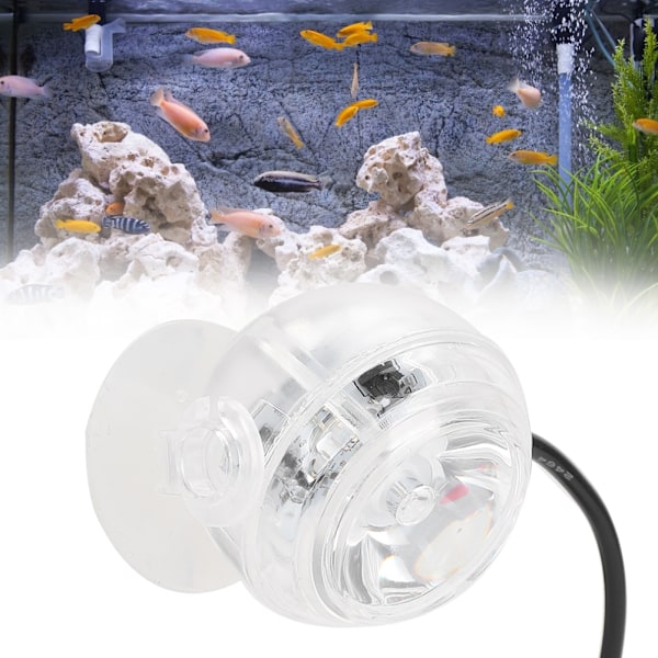 Plast LED Fish Tanks Färgglad gradient Vattentät nedsänkbar nattfläcksljus Akvarium Sötvatten Havsvatten Tillbehör 100-240VRed EU-kontakt