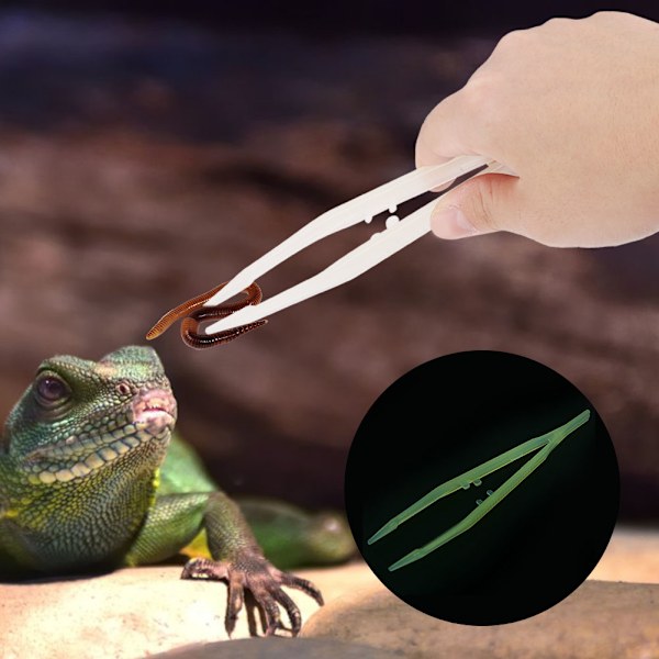 Amfibier Reptiler Matare Pincett Mask Sköldpadda Lizard Crawler Matningsverktyg