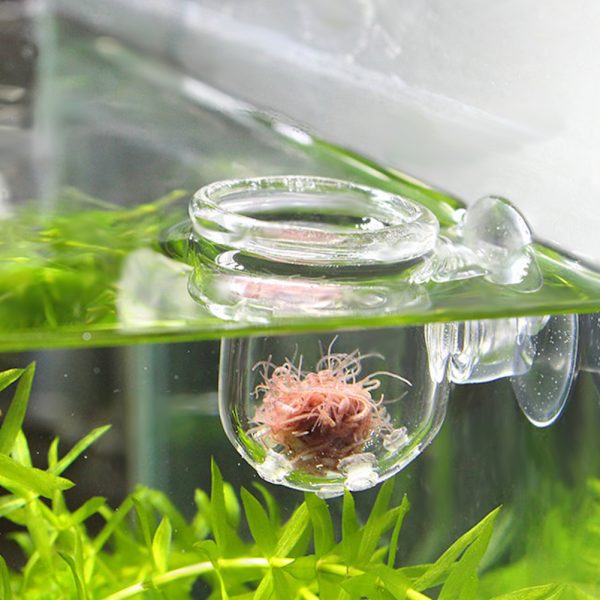 Transparent Aquarium Red Worm Feeder Sugkopp Fisk Matningskopp Behållare Tillbehör Glashålkopp