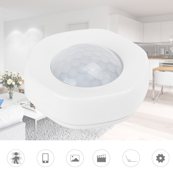Intelligent infrarød Menneske- og Dyresensor WIFI APP Alarm PIR Hjemovervågning Sikkerhed