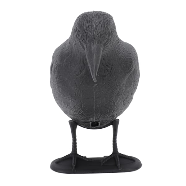 Kråke Lokkefugl Bueskyting Målskive PE 3D Stående Kråke Statue Realistisk Trening Bow Decoy for Utendørs Skyting Jakt Hagedekorasjon