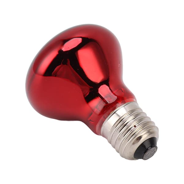 Reptil Värmelampa Multifunktionell E27 Gränssnitt Spot Light Lampa för Orm 220‑240V 25W