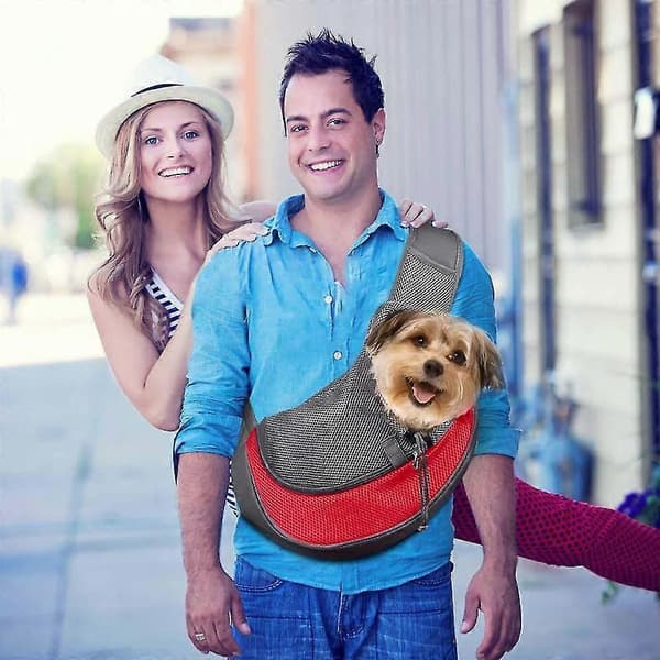 Hundselebärare AT45