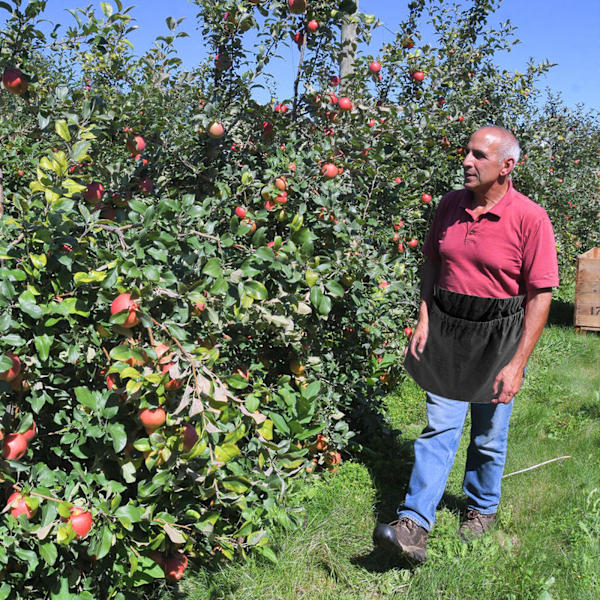 Bærforingspåse Multifunksjonell Slitesterk Nylon Frukt Foraging Oppbevaringsveske med Spenne
