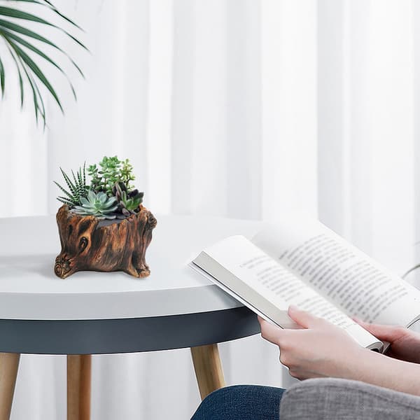 Blomkruka Kompatibel med cementträdstubb