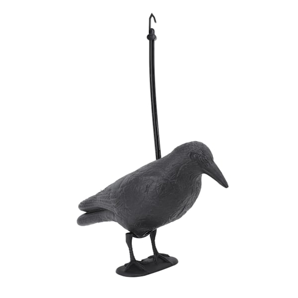 Crow Decoy Bågskytte Target PE 3D Stående Kråke Staty Realistisk övning Bow Decoy för utomhusskytte Jakt Trädgårdsdekoration