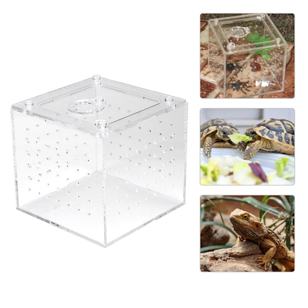 1. Reptil Terrarium Foder Slange Edderkop Øgle Avls Akryl Box Case Insekter Hus