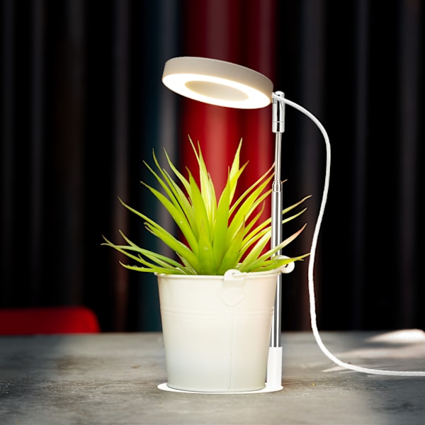 USB Plant Light Angel Ring med Timer Ful Spektrum Sollys Simulering