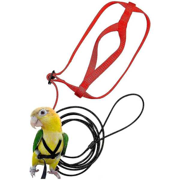 Fågelsele for husdjur Justerbar papegoja fågelsele koppel Pet Anti-bett treningsrep utendørs flygsele