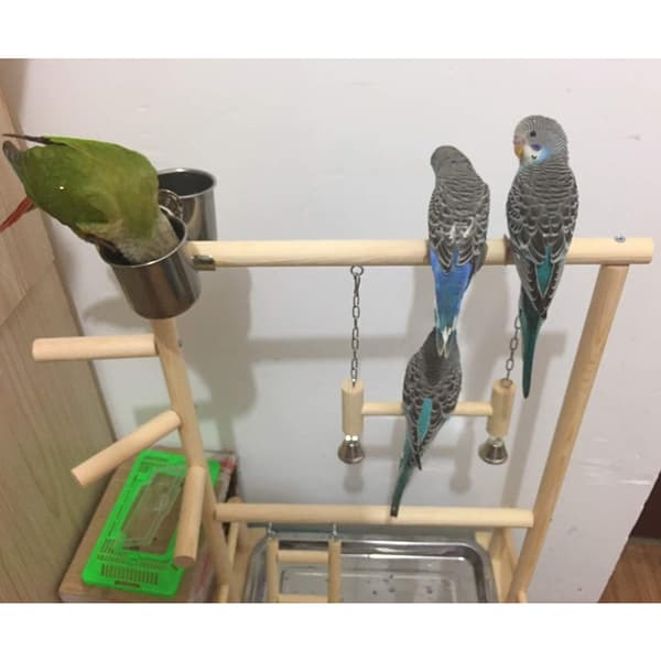 Dobbeltlags træfuglestativ inklusive stige Swing Bell Bird Athletic Toy Stand