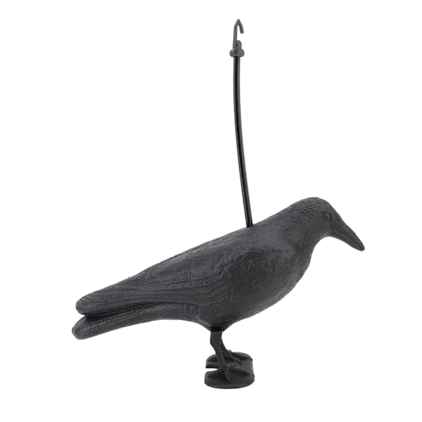 Kråke Lokkefugl Bueskyting Målskive PE 3D Stående Kråke Statue Realistisk Trening Bow Decoy for Utendørs Skyting Jakt Hagedekorasjon