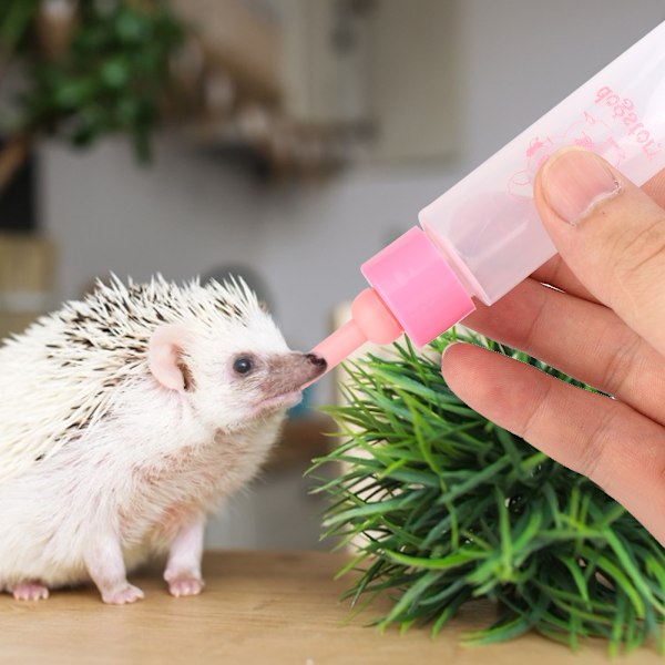 2 STK 30 ml Hamsterplejeflaske Små kæledyr Hvalp Egern Killing Ammeflaske Vandmælk Feeder (Pink)