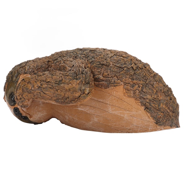 Lajinainen Laiskiainen Veistos Käsinmaalattu Pinta Hartsi Elävä 22x10x14,5cm Ulkona Laiskiainen Pieni Veistos Koristeluun