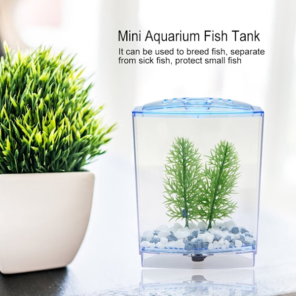 Mini Akvarium Transparent Vandplanter Opdrætskasse Yngel Inkubator (enkelt)