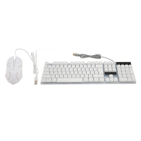 Tangentbord och mus Combo 104 nycklar RGB Bakgrundsbelyst USB Kabelanslutning Tangentbord Mus Set för hemmaspelkontor