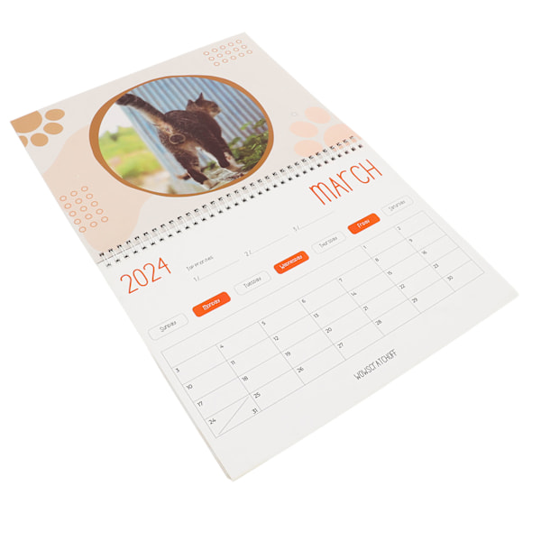 Kattbollar 2024-kalender 12 månaders roliga kattbollar-kalender Katthålskalender för kattälskare