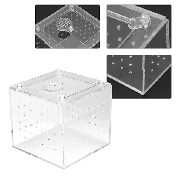 1. Reptil Terrarium Foder Slange Edderkop Øgle Avls Akryl Box Case Insekter Hus