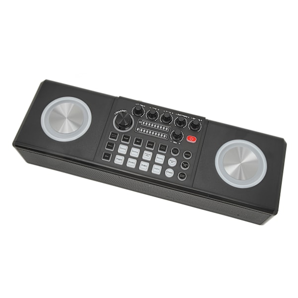 Karaokemaskin med 2 mikrofoner, bärbar Bluetooth-högtalare för utomhusbruk, ljudkort, karaoke-set för hemfest, bröllop, camping