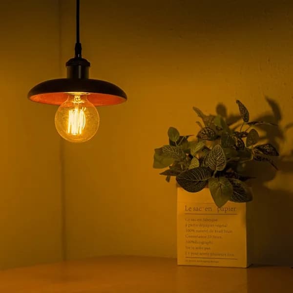 4-pack Vintage Edison Light Bulbs - Dimmable G80 E27 40W Warm White Light 220V Black
