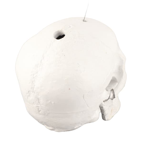 【NX】Skull Windmill Skull Gyratory Windmill Wind Spinner Front Yard Decor