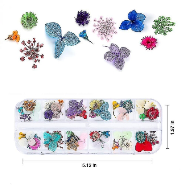 Nail art kukat hartsikynsitaidelle 3d kuivakukat kynsille 2 laatikkoa pieniä pieniä kuivattuja kukkia