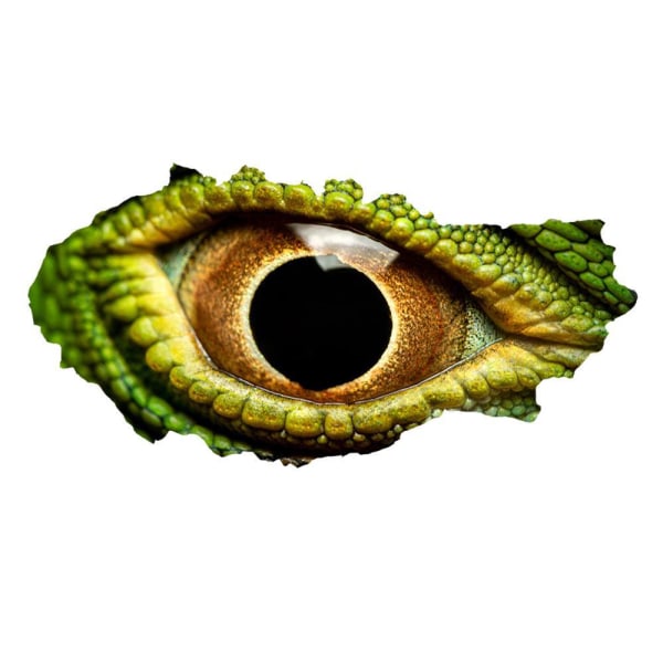 3D Broken Wall Vision Dinosaur Lizard Eyes Wall Sticker Stue Soveværelsesdekoration (stil 2)