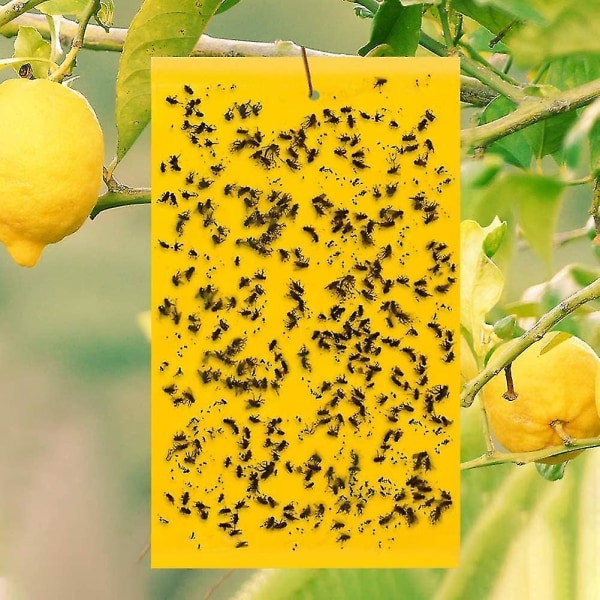 20 gule klistremerker Fluefeller for klebrige feller for hvite fluer, bladlus, møll og mygg