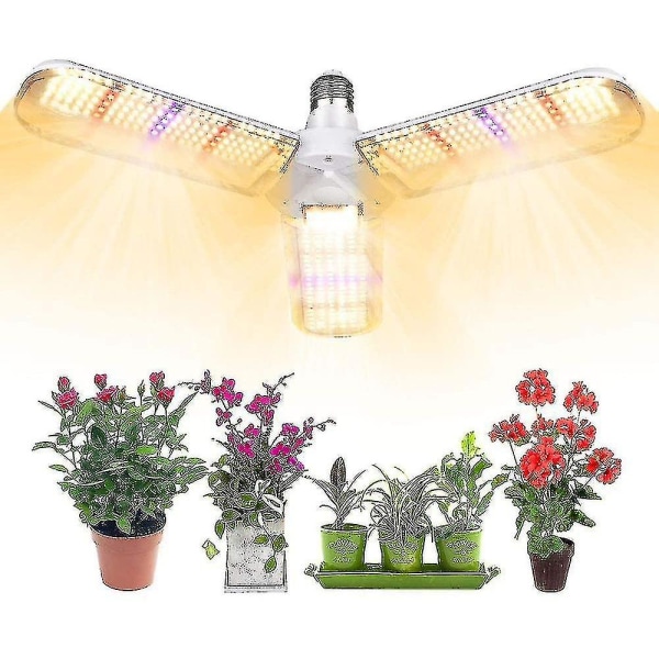 Växtljus, växtbelysning, interiörplantering Ljusfyllande ljus av suckulenta blommor och