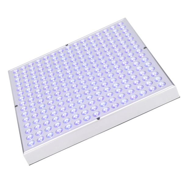 Blått lys terapi lampe Profesjonell baby Gulsott Sor Spot Fade Lampe for hjemmebehandling Healing 110-240V US Plugg