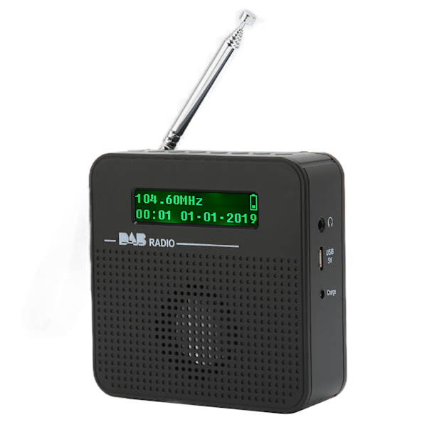 Digital Radio Bærbar Bluetooth FM-radio med DAB/DAB+ for turer utendørs