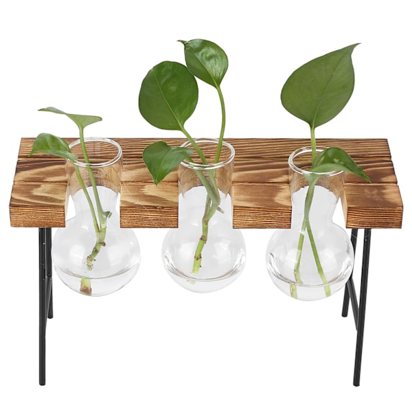 Skrivbordskruka i glas Träställ Glödlampa Glasvas Hydroponics Växtkruka för hemmakontor Trädgård3 flaska