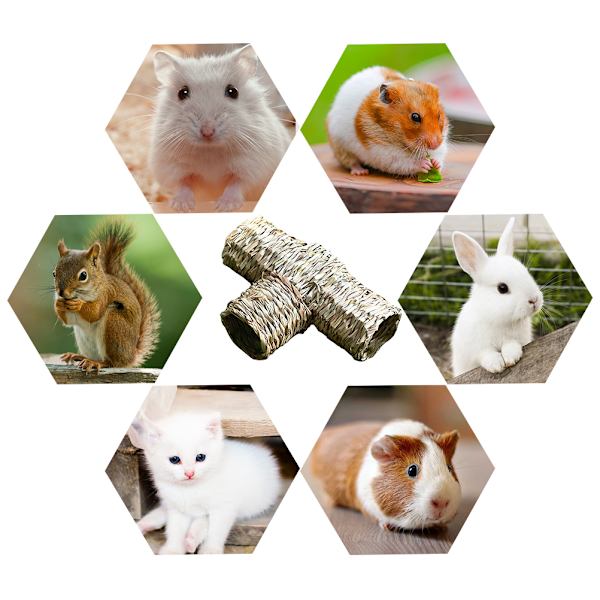 Hamsterin piilopaikka - pieni pesä tunneli lemmikkieläimille heinästä