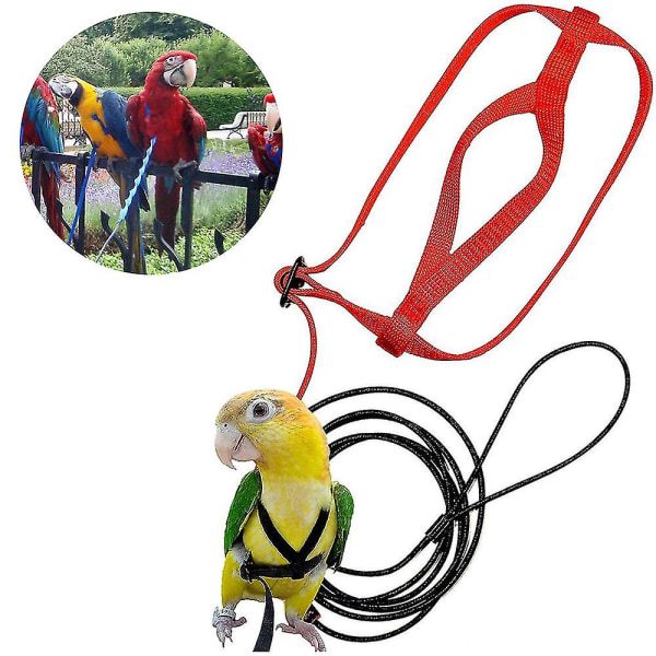 Fågelsele för husdjur Justerbar papegoja fågelsele koppel Pet Anti-bett träningsrep utomhus flygsele