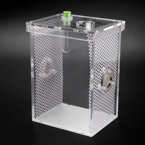 Akryl Transparent Våte Reptiler Insekttank Oppdrettsboks Kjæledyr Skilpadder Mater Terrarium (L)