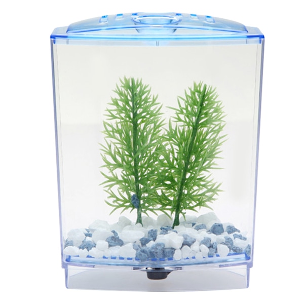 Mini Akvarium Transparent Vandplanter Opdrætskasse Yngel Inkubator (enkelt)