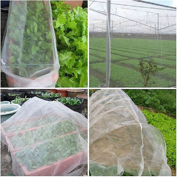 Växthusskyddsnät Frukt Grönsaker Cover Insektsnät Växtskydd Skydd Nät Trädgårdskontroll Mesh