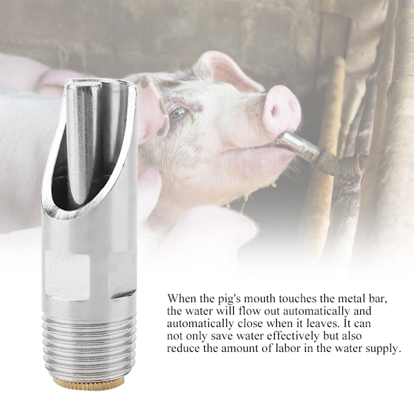 5 st Rostfritt stål Automatisk Grisnipplar Drinker Waterer Koppar Cap Andnäbb