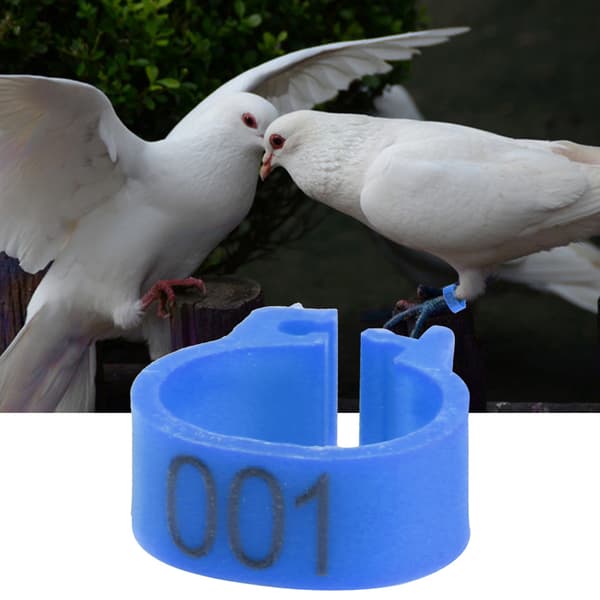 100 stk/pose 8MM 001-100 nummererte plastbrevduve fuglebenringer (blå)