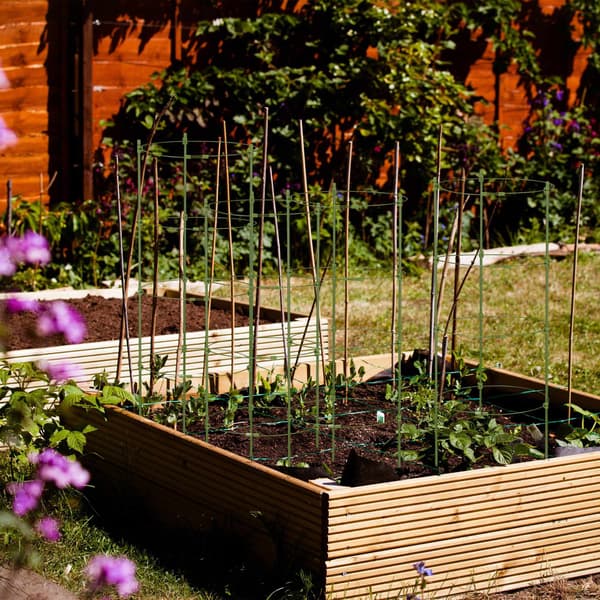 【NX】Sett med 5 runde tomatspalier, 90 cm 1270